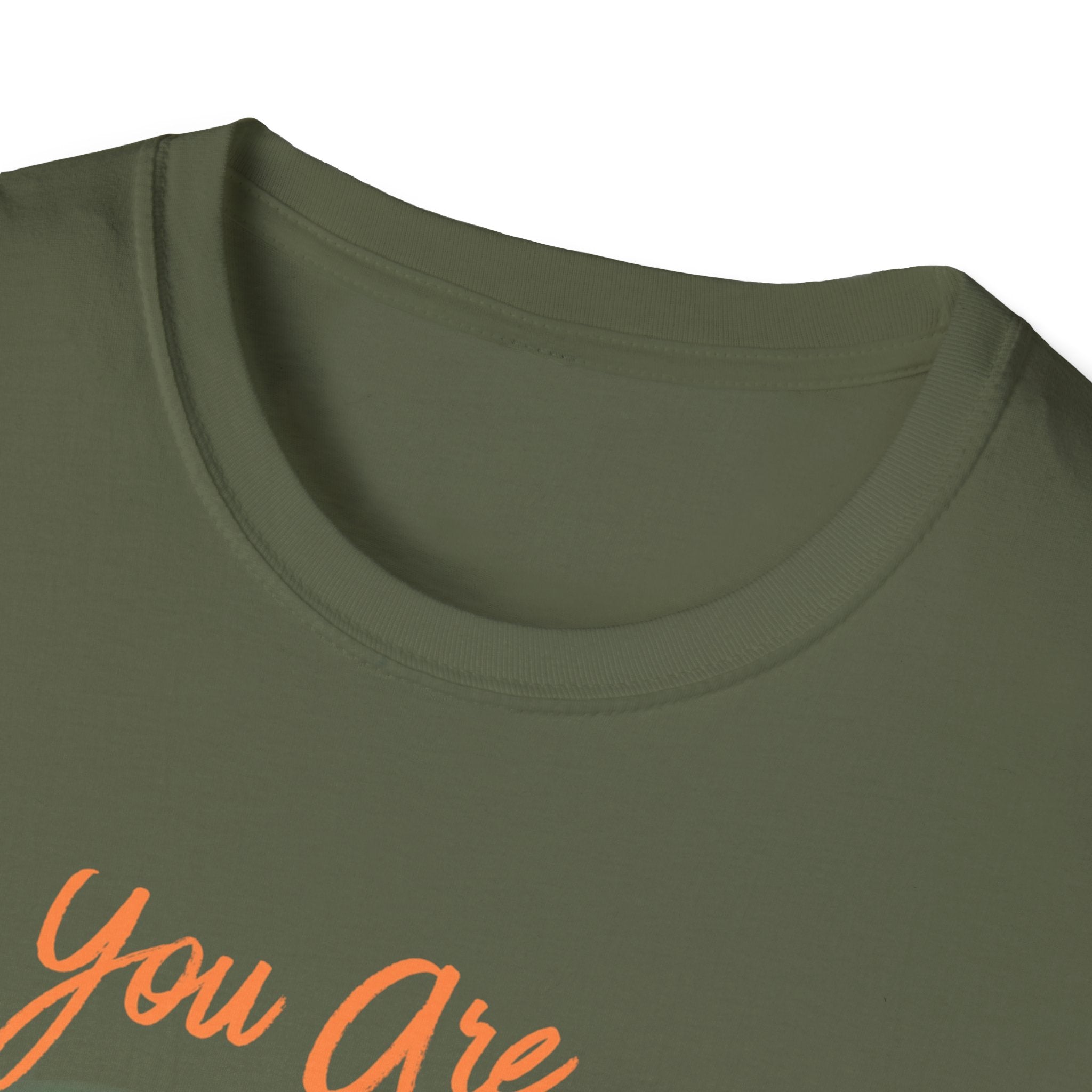 Unisex Softstyle T-Shirt, ordinary shirt, extraordinary