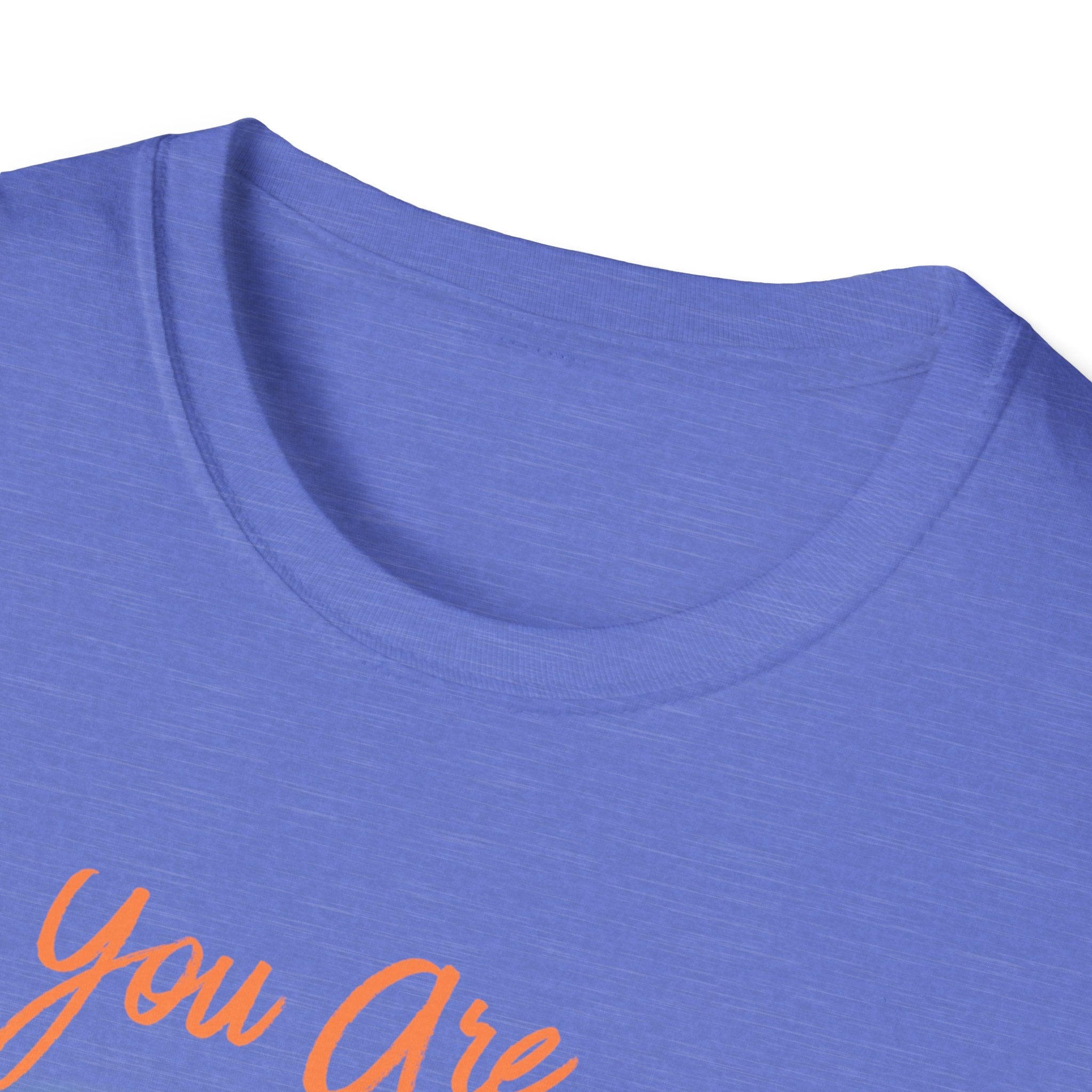 Unisex Softstyle T-Shirt, ordinary shirt, extraordinary