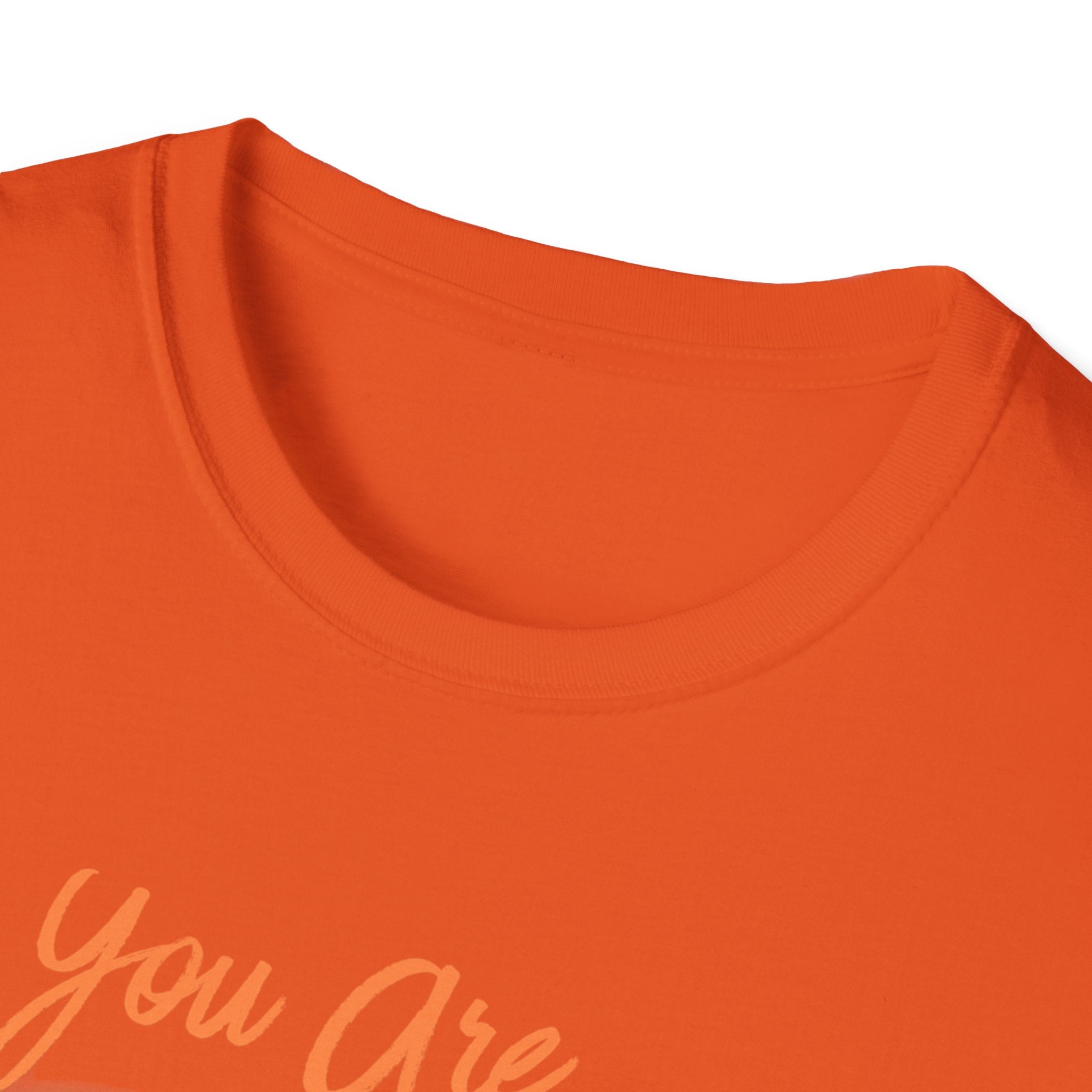 Unisex Softstyle T-Shirt, ordinary shirt, extraordinary