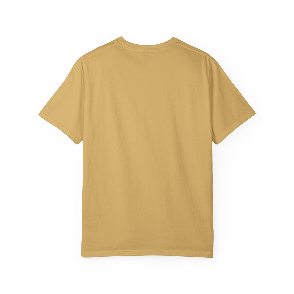 Unisex Garment-Dyed T-shirt, sloth and turtle