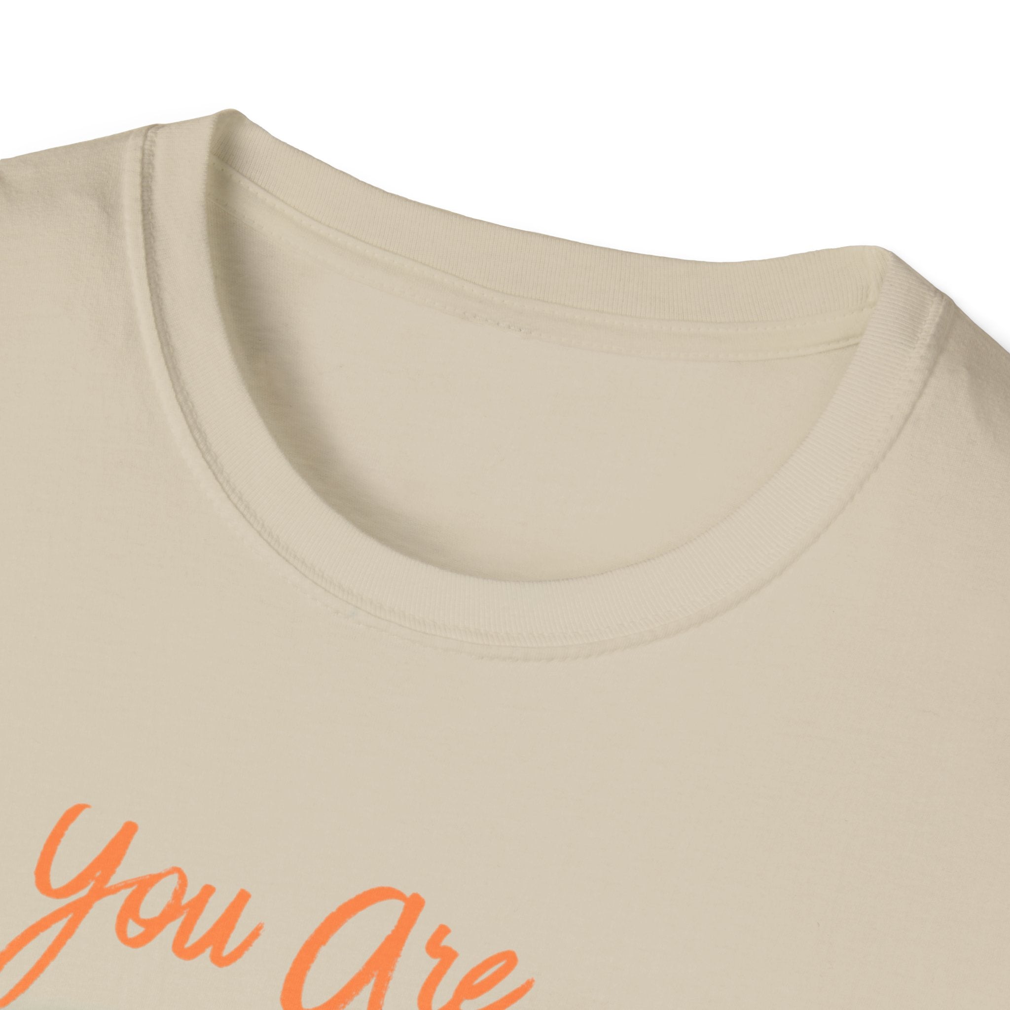 Unisex Softstyle T-Shirt, ordinary shirt, extraordinary