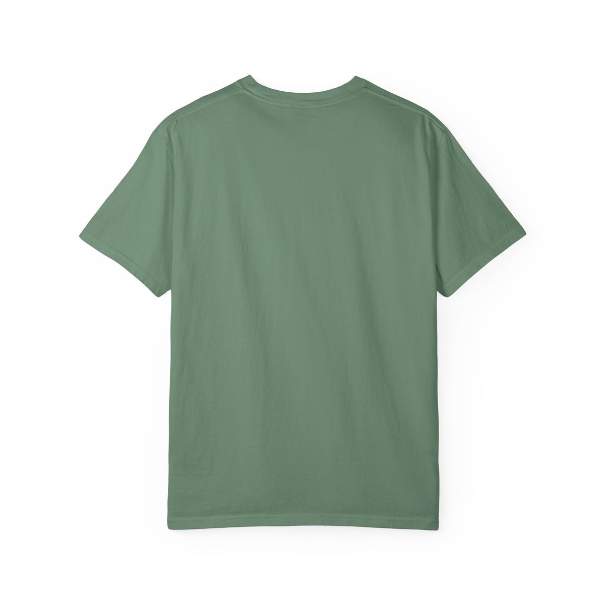 Unisex Garment-Dyed T-shirt, sloth and turtle