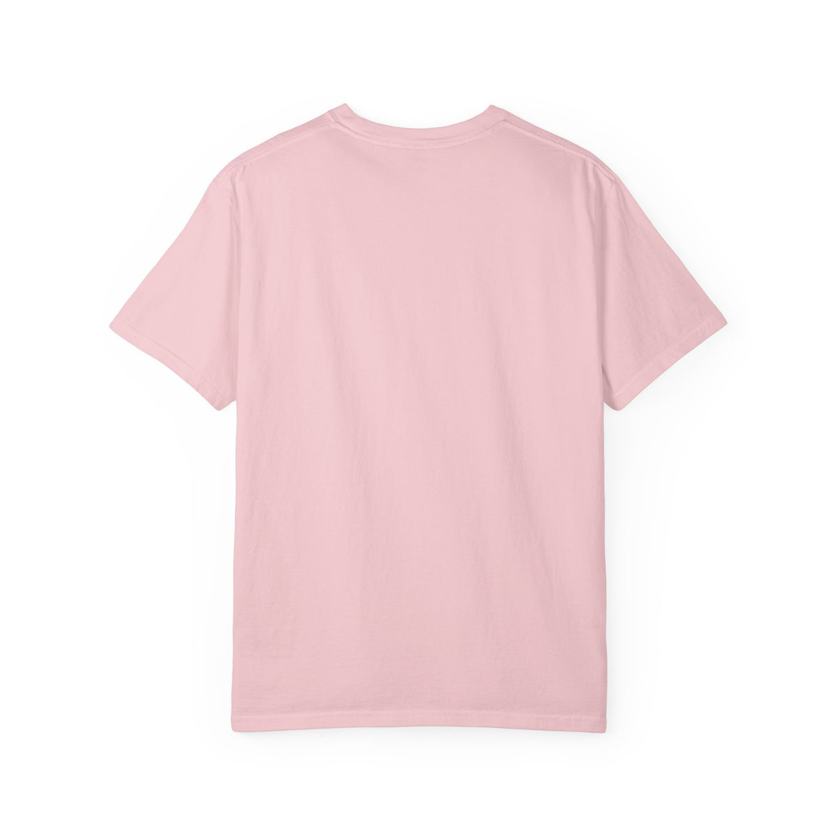 Unisex Garment-Dyed T-shirt, sloth and turtle